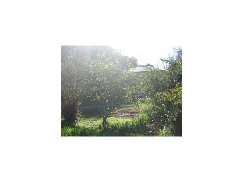7 Keats Street, Byron Bay NSW 2481