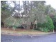 23 Shelley Drive, Byron Bay NSW 2481