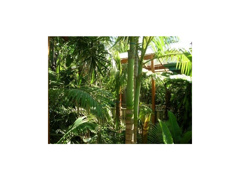 Lot 2, 2 Mountain Blue Court, Myocum NSW 2481