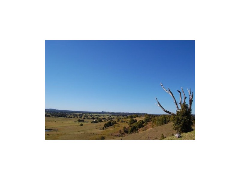 Lot 2 Coolamon Scenic Drive, Mullumbimby NSW 2482