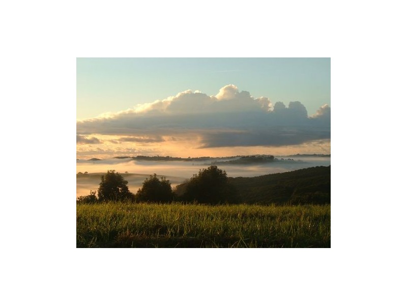 11 Possum Creek Road, Bangalow NSW 2479