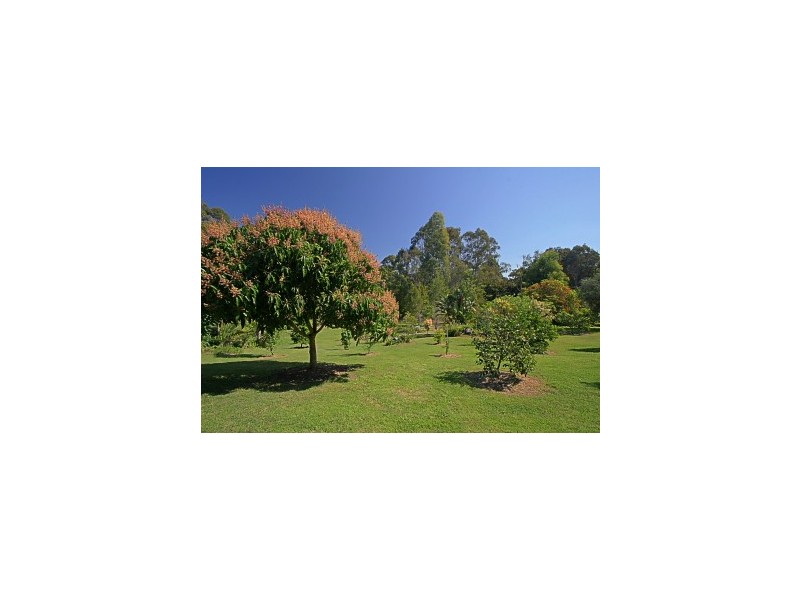 111 Parkway Drive, Ewingsdale NSW 2481