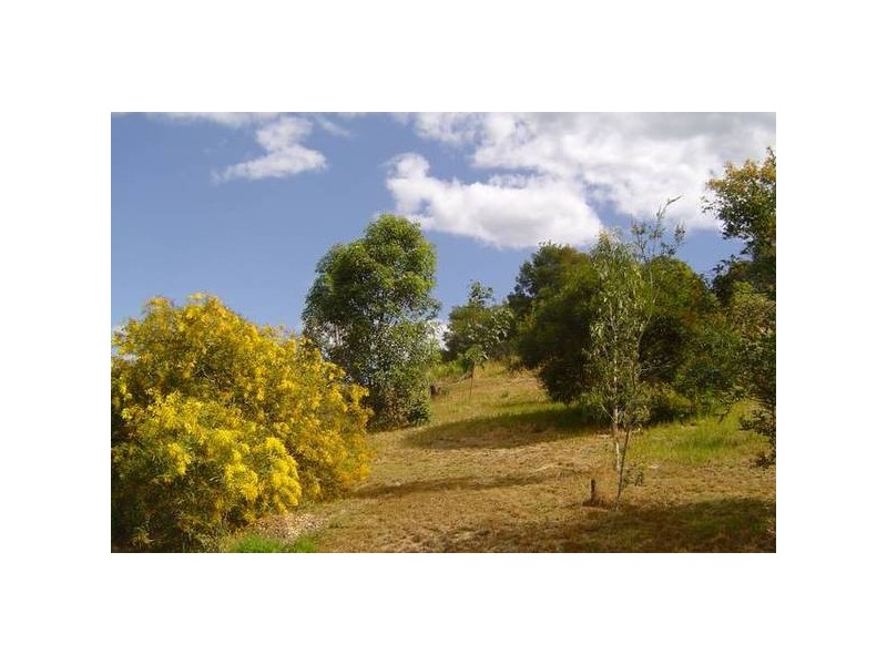 67 Brushbox Drive, Mullumbimby NSW 2482