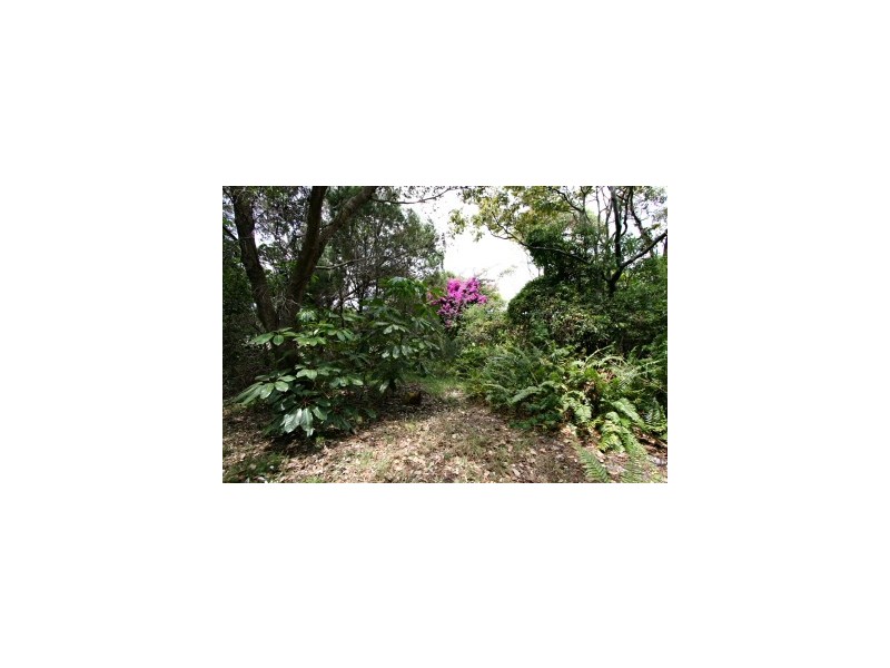 1 Armstrong Street, Suffolk Park NSW 2481