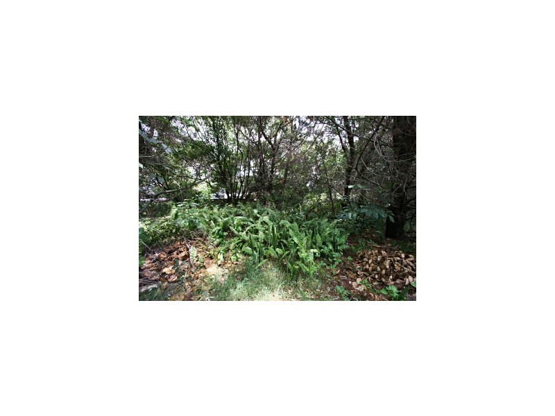 1 Armstrong Street, Suffolk Park NSW 2481