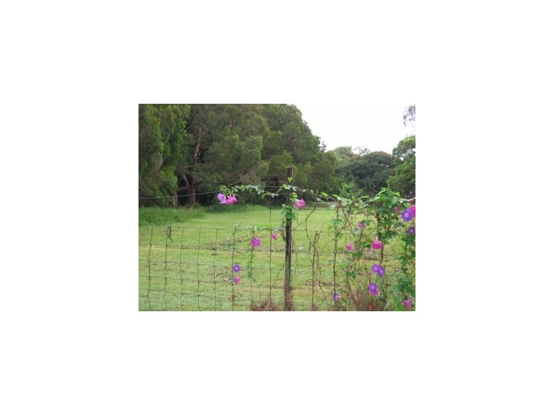 14 Bangalow Road, Byron Bay NSW 2481