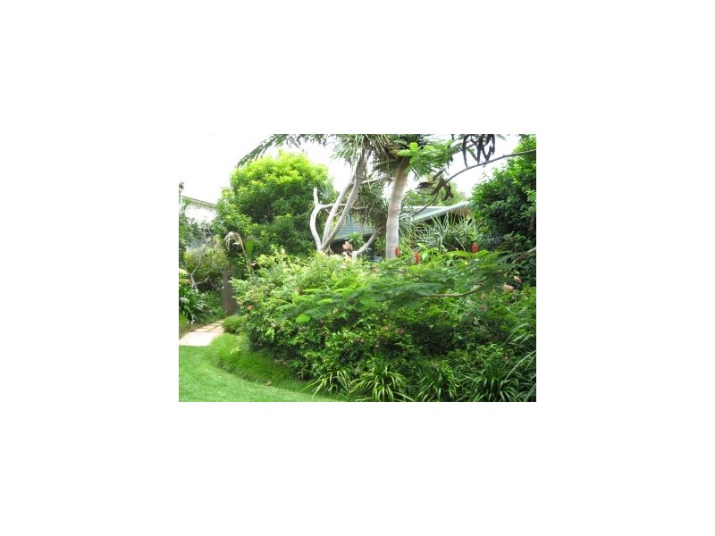 20 Cavanbah Street, Byron Bay NSW 2481