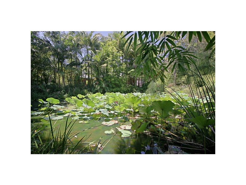 20 Taylors Lane, Ewingsdale NSW 2481