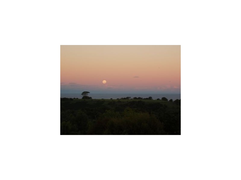 231 Coopers Shoot Road, Byron Bay NSW 2481