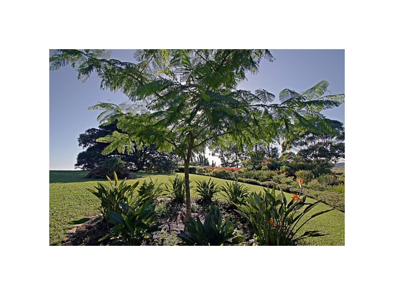 55 Bay Vista Lane, Ewingsdale NSW 2481