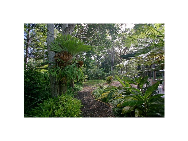 4 Cooinda Place, Federal NSW 2480