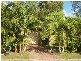 6B Belongil Crescent, Byron Bay NSW 2481