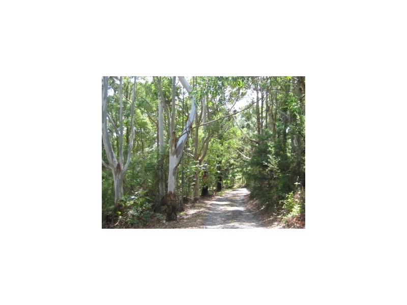 294 Skinners Shoot Road, Byron Bay NSW 2481