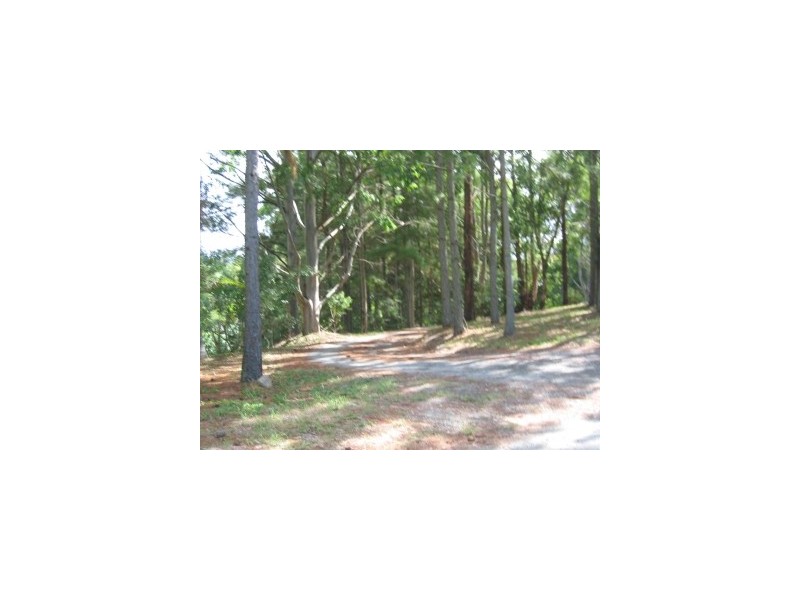 294 Skinners Shoot Road, Byron Bay NSW 2481