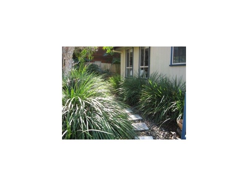 1b/107 Paterson Street, Byron Bay NSW 2481