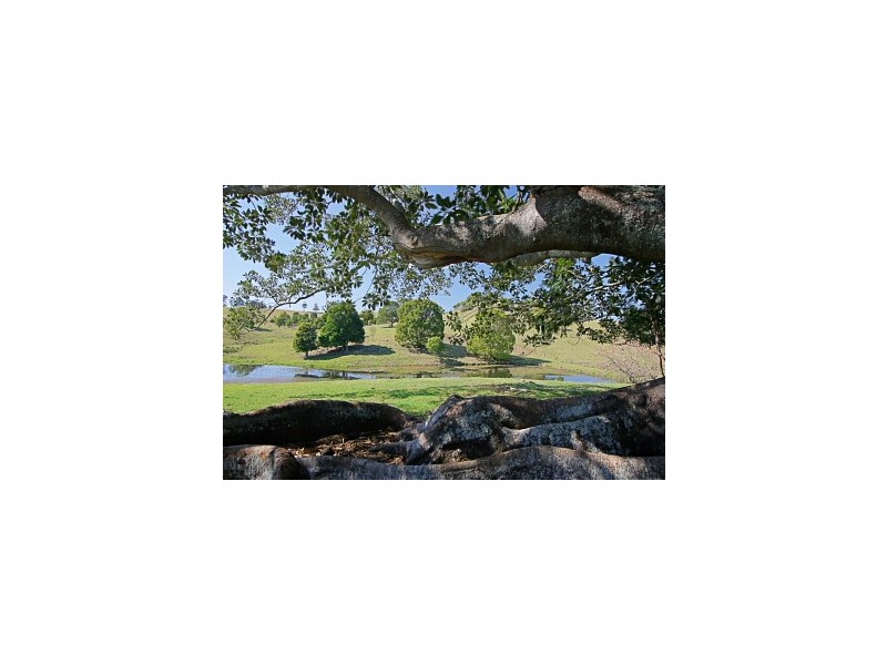 174 Dingo Lane, Myocum NSW 2481
