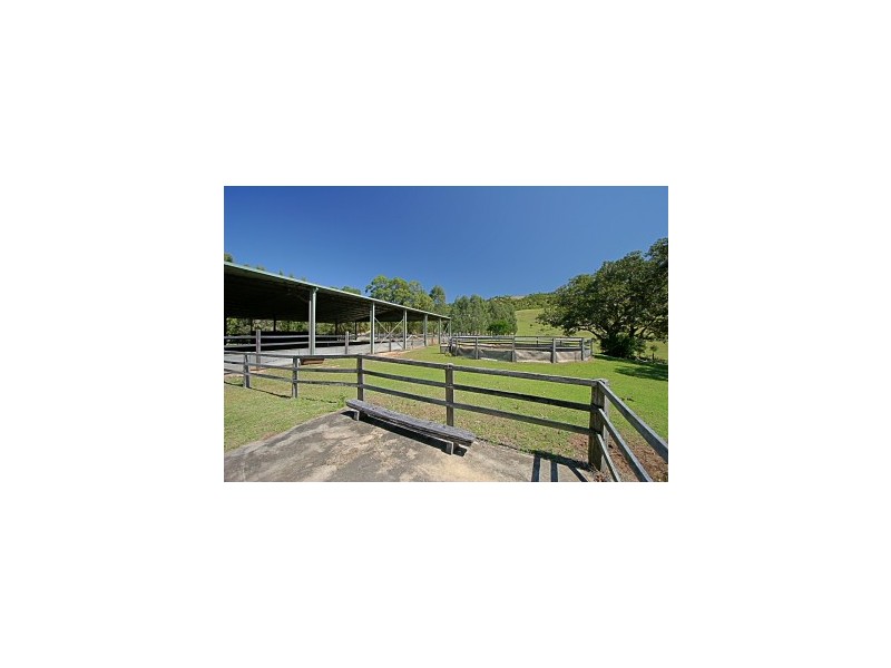 174 Dingo Lane, Myocum NSW 2481