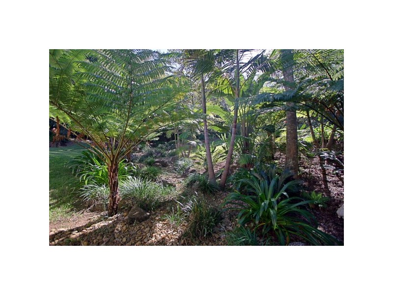 16 Red Bean Close, Suffolk Park NSW 2481