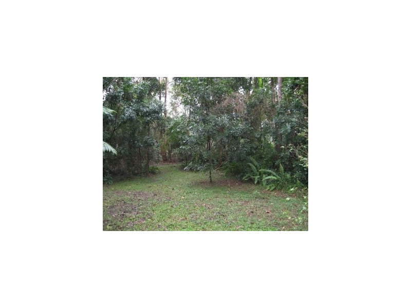 15 Ironbark Avenue, Byron Bay NSW 2481