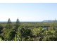 8 Buckley’s Lane, Tyagarah NSW 2481