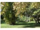 8 Buckley’s Lane, Tyagarah NSW 2481