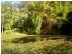 59 Kingsvale Road, Myocum NSW 2481