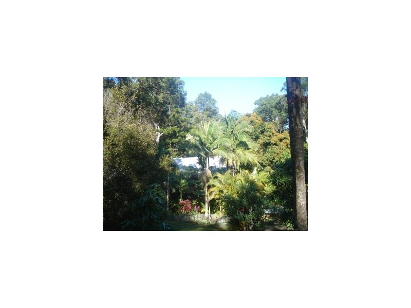 59 Kingsvale Road, Myocum NSW 2481