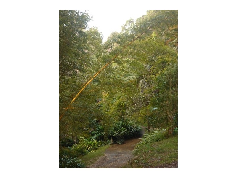 59 Kingsvale Road, Myocum NSW 2481