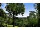4 Newes Rd, Coorabell NSW 2479