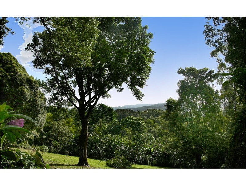 4 Newes Rd, Coorabell NSW 2479