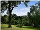 4 Newes Rd, Coorabell NSW 2479