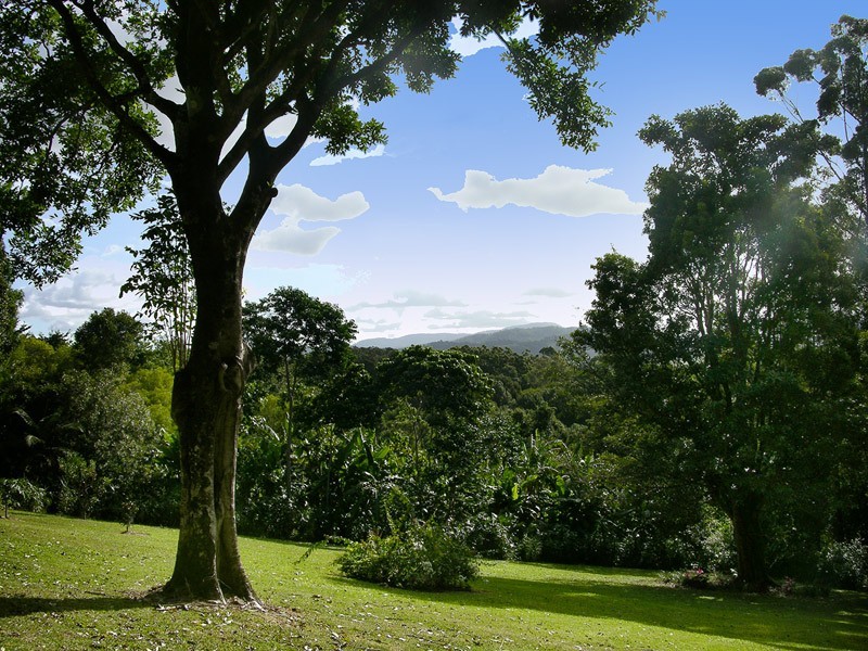 4 Newes Rd, Coorabell NSW 2479