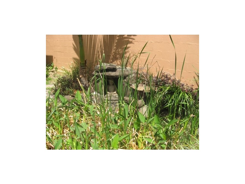 1/22 Brigantine Street, Byron Bay NSW 2481