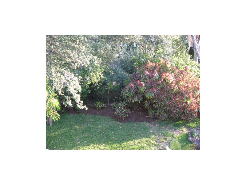 29 Scott Street, Byron Bay NSW 2481