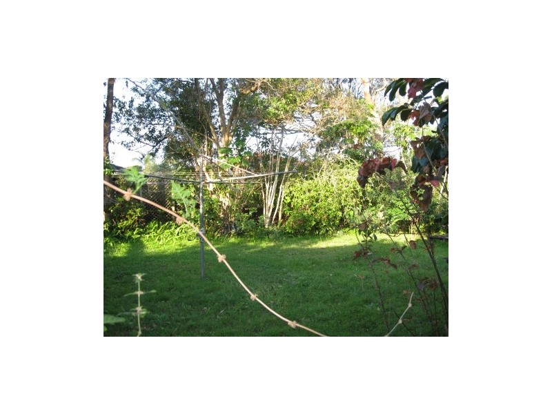 29 Scott Street, Byron Bay NSW 2481