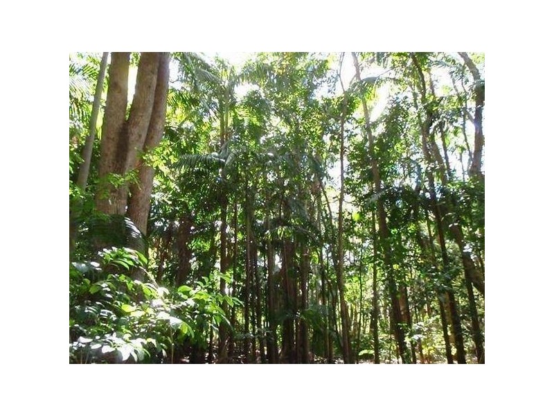 Lot 1 Skinners Shoot Road, Byron Bay NSW 2481