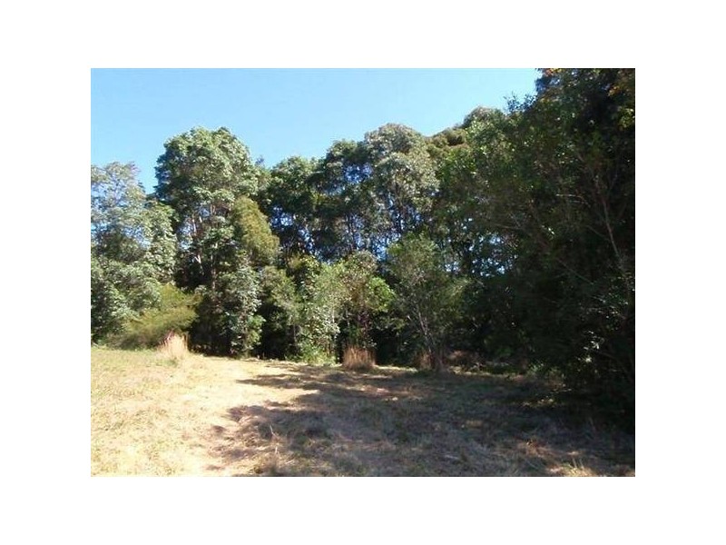 Lot 1 Skinners Shoot Road, Byron Bay NSW 2481