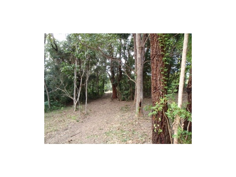 Lot 1 Skinners Shoot Road, Byron Bay NSW 2481