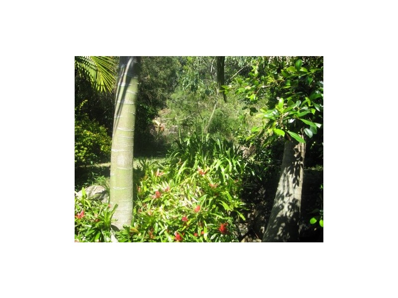 41 Caniaba Crescent, Suffolk Park NSW 2481