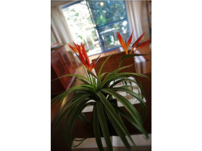 Lot 42, 14b/ MacGregor Street, Suffolk Park NSW 2481