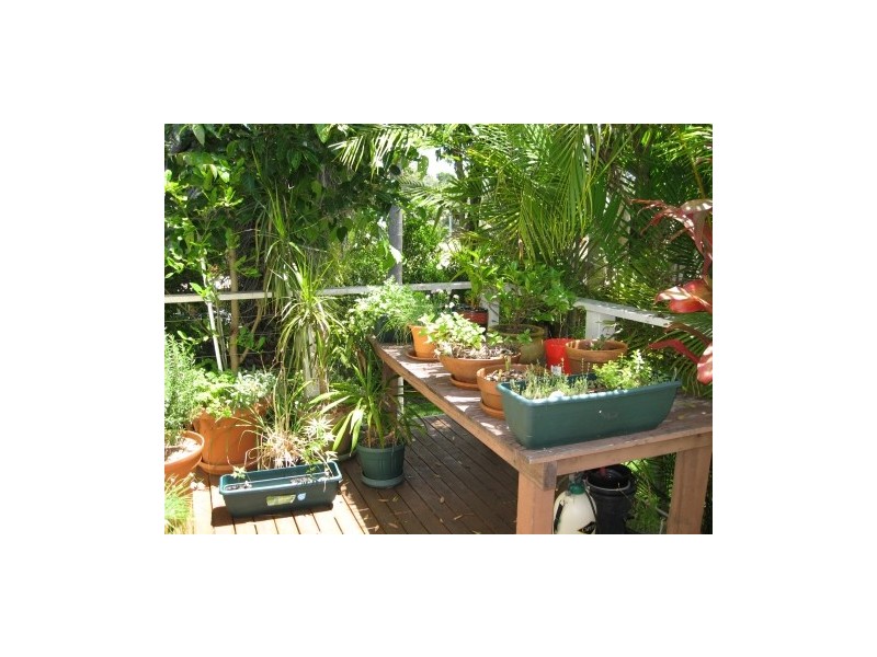 14 Cooper Street, Byron Bay NSW 2481