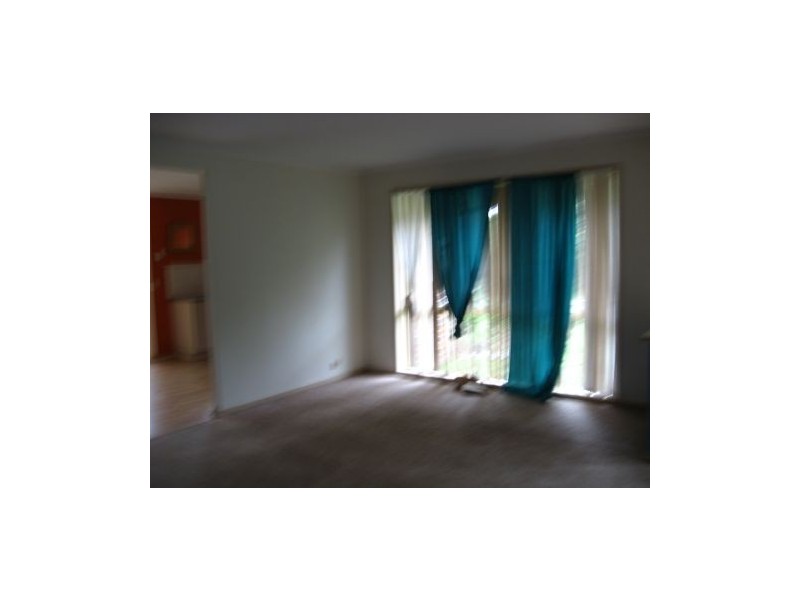 5 Ribbonwood, Byron Bay NSW 2481