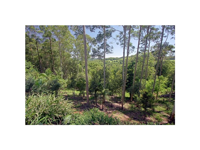 146 Binna Burra Road, Bangalow NSW 2479