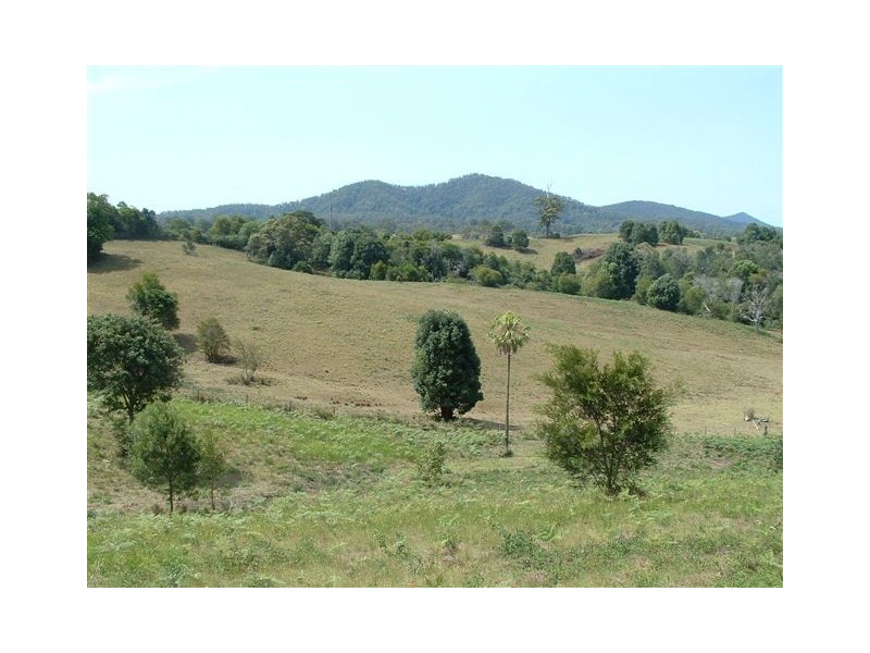 22 Newee Creek Road, Newee Creek NSW 2447