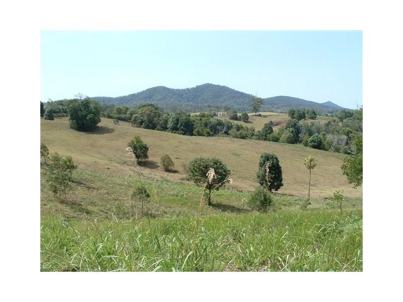 22 Newee Creek Road, Newee Creek NSW 2447