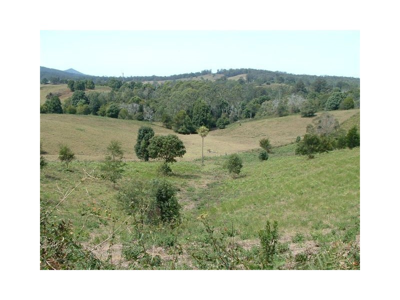 22 Newee Creek Road, Newee Creek NSW 2447