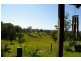 Newee Creek NSW 2447