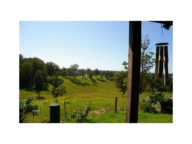 Newee Creek NSW 2447