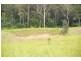 Newee Creek NSW 2447