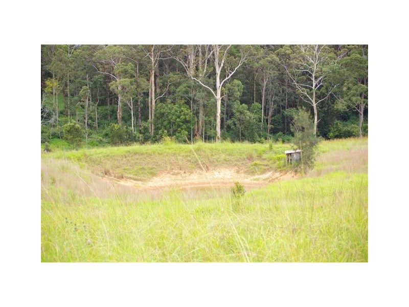 Newee Creek NSW 2447